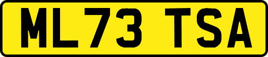 ML73TSA