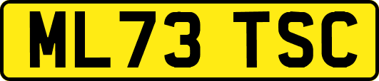 ML73TSC