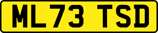 ML73TSD