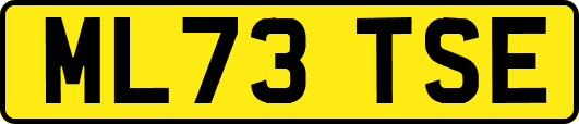 ML73TSE