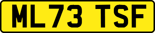 ML73TSF
