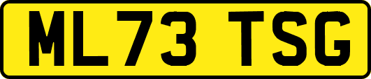 ML73TSG