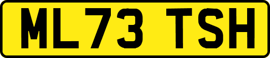 ML73TSH