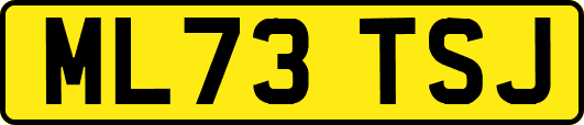 ML73TSJ