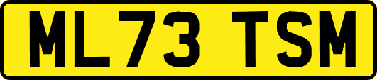 ML73TSM