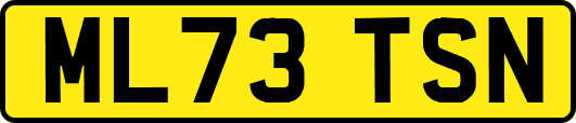 ML73TSN