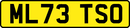 ML73TSO