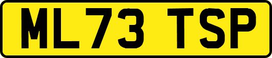 ML73TSP