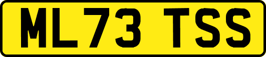 ML73TSS