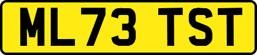 ML73TST