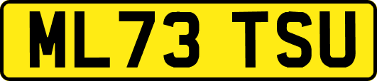 ML73TSU