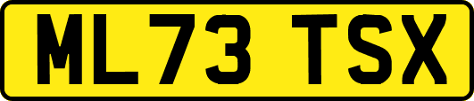 ML73TSX