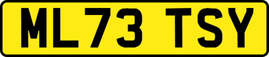 ML73TSY