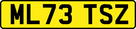 ML73TSZ