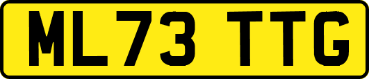 ML73TTG
