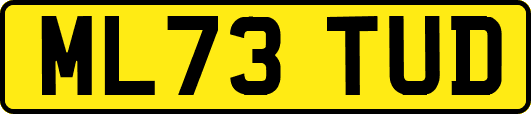 ML73TUD