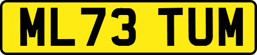 ML73TUM