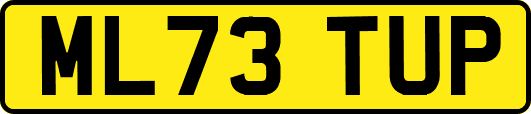 ML73TUP