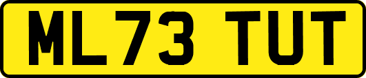 ML73TUT