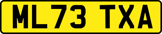 ML73TXA