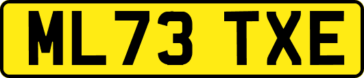 ML73TXE