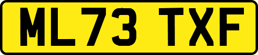 ML73TXF