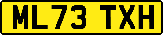ML73TXH
