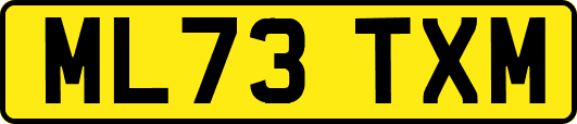 ML73TXM