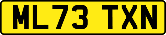 ML73TXN