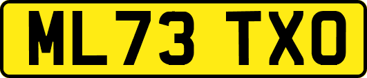 ML73TXO