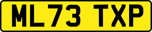 ML73TXP