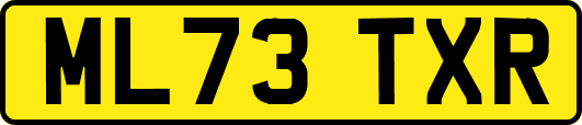 ML73TXR