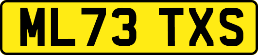 ML73TXS