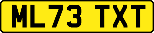 ML73TXT