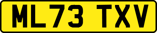 ML73TXV