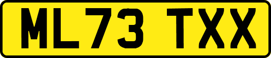 ML73TXX