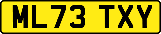 ML73TXY