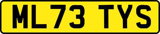 ML73TYS