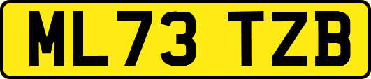 ML73TZB