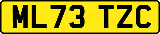 ML73TZC