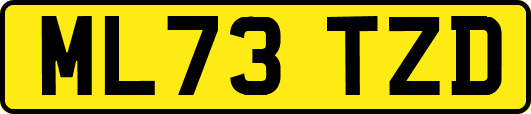 ML73TZD