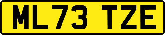ML73TZE