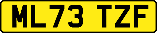 ML73TZF