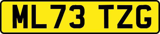 ML73TZG