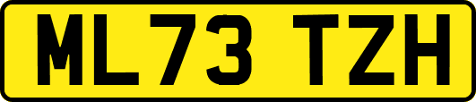 ML73TZH