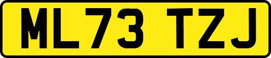 ML73TZJ