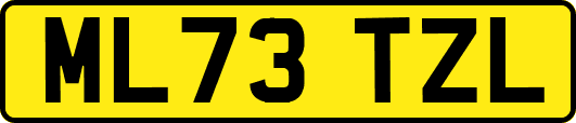ML73TZL