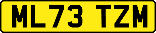 ML73TZM