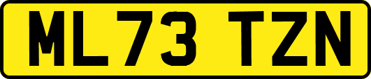 ML73TZN