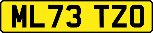 ML73TZO